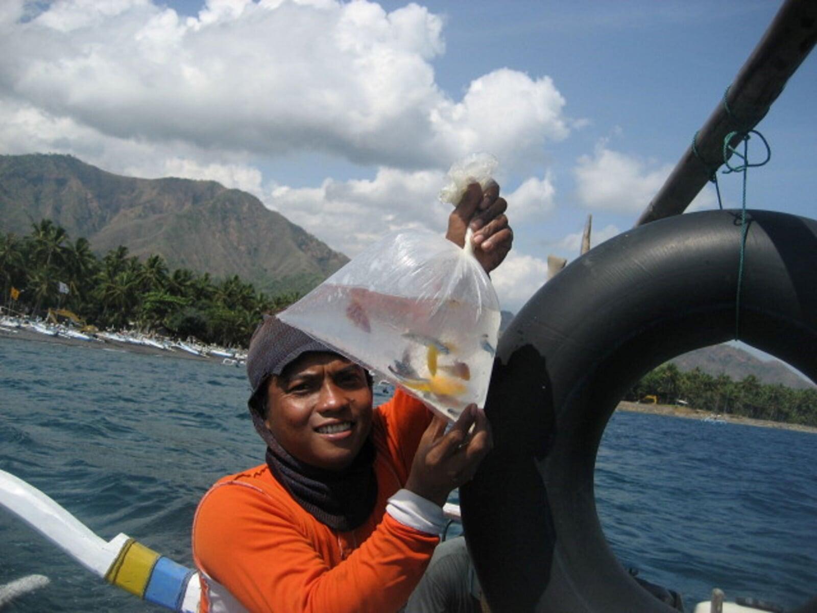 Empowering Sustainable Marine Aquarium Fisheries in Indonesia